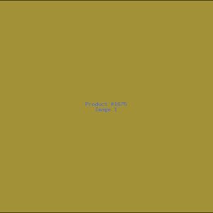 Example Product 1675