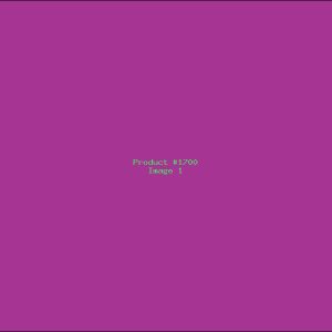 Example Product 1700