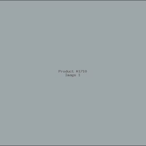 Example Product 1710