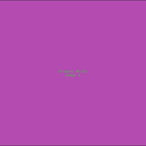 Example Product 1733