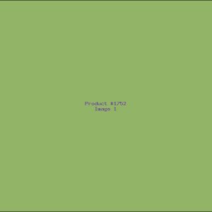 Example Product 1752