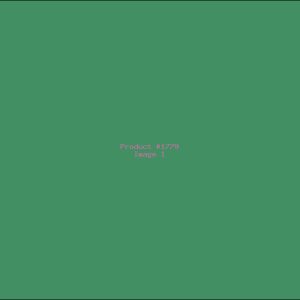 Example Product 1779