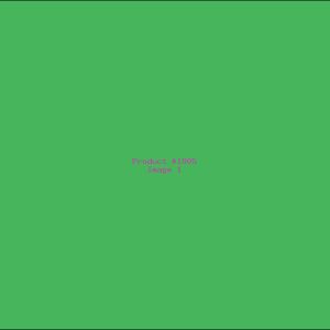 Example Product 1805