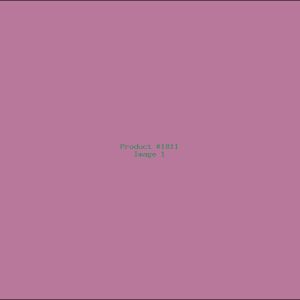 Example Product 1811