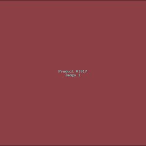 Example Product 1817