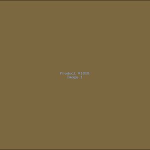 Example Product 1818