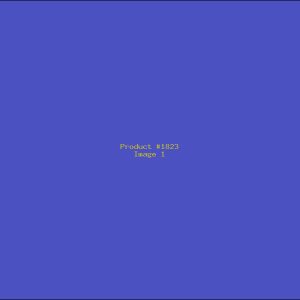 Example Product 1823