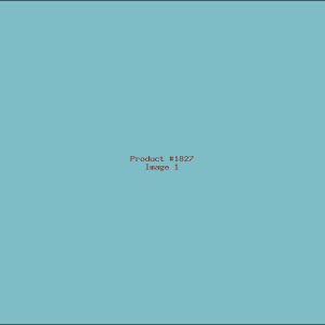 Example Product 1827