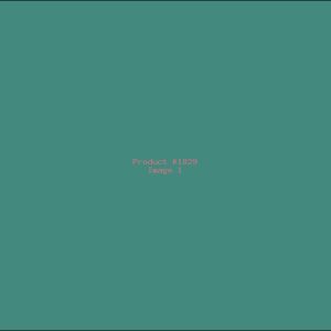 Example Product 1829