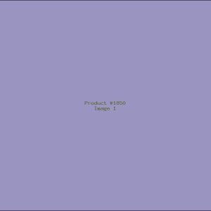 Example Product 1850