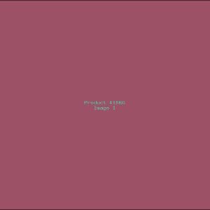 Example Product 1866