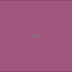 Example Product 1921