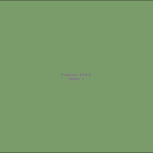 Example Product 1923