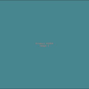 Example Product 1954