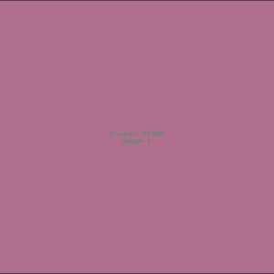 Example Product 1969