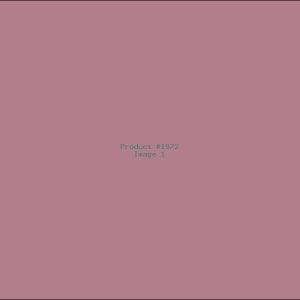 Example Product 1972