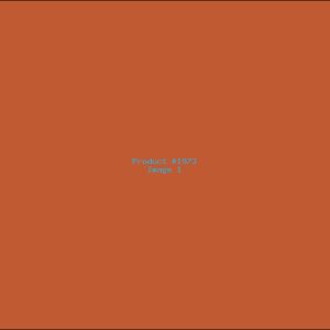 Example Product 1973