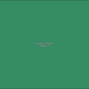 Example Product 1983