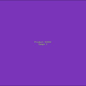 Example Product 2002