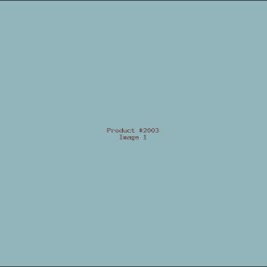 Example Product 2003