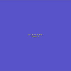 Example Product 2008