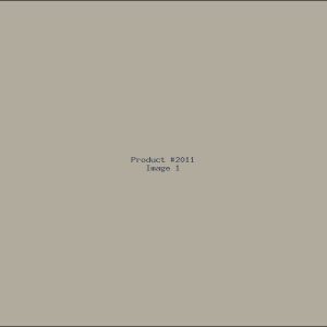 Example Product 2011