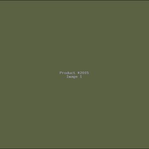 Example Product 2015