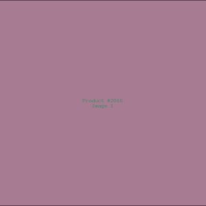 Example Product 2016