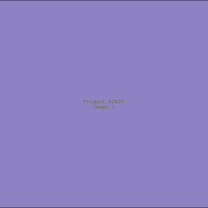 Example Product 2029