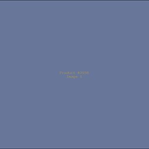 Example Product 2038