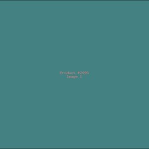 Example Product 2095