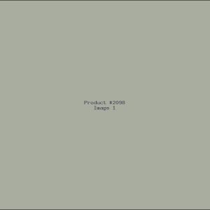 Example Product 2098