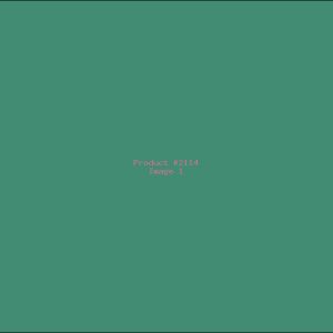 Example Product 2114