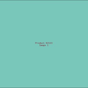 Example Product 2123