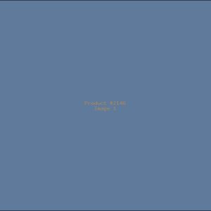 Example Product 2146