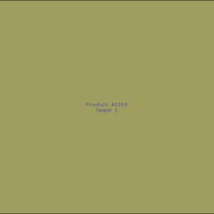 Example Product 2164