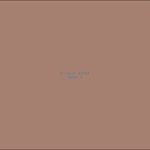 Example Product 2194