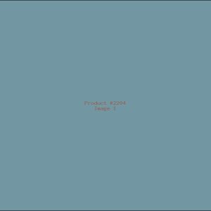 Example Product 2204