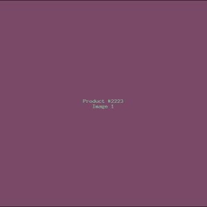 Example Product 2223