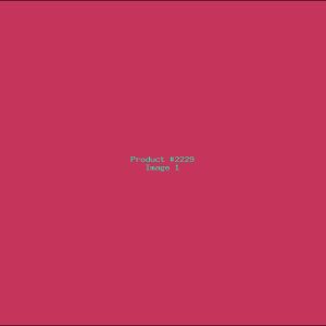 Example Product 2229