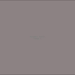 Example Product 2233