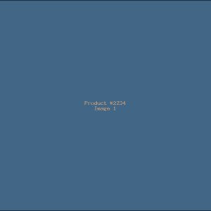 Example Product 2234