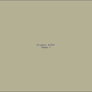 Example Product 2247