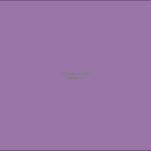 Example Product 2250