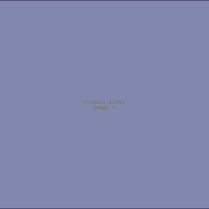 Example Product 2252