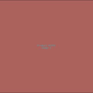 Example Product 2281