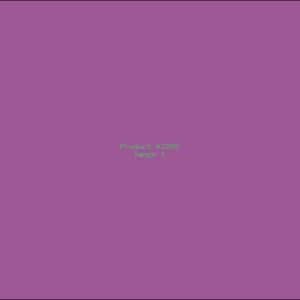 Example Product 2289