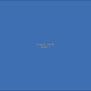 Example Product 2299