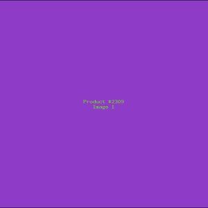 Example Product 2309