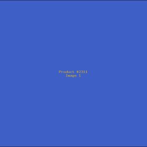 Example Product 2311